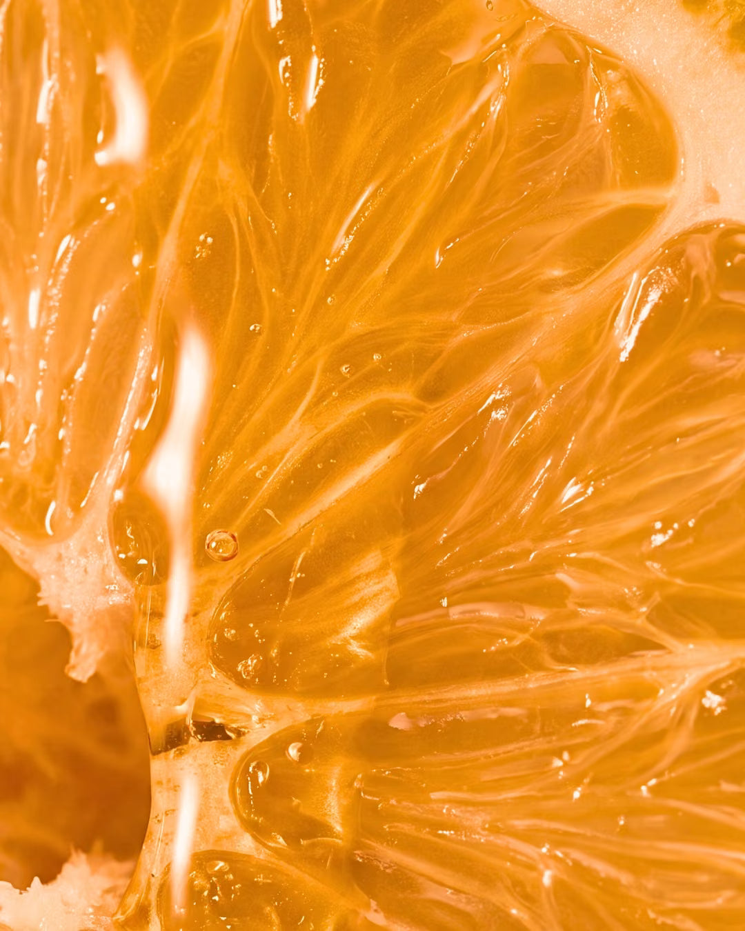 Laranja, ingrediente do perfume Nostalgic Velvet da Sorry Not Sorry