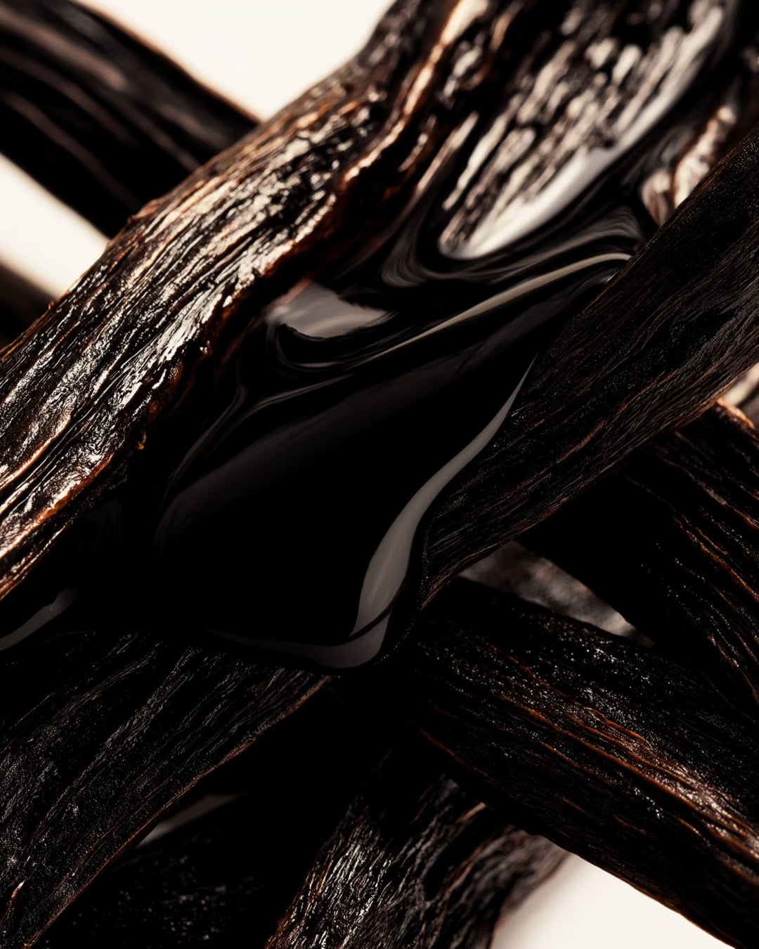 Fava Tonka, ingrediente do perfume Sépia da Sorry Not Sorry