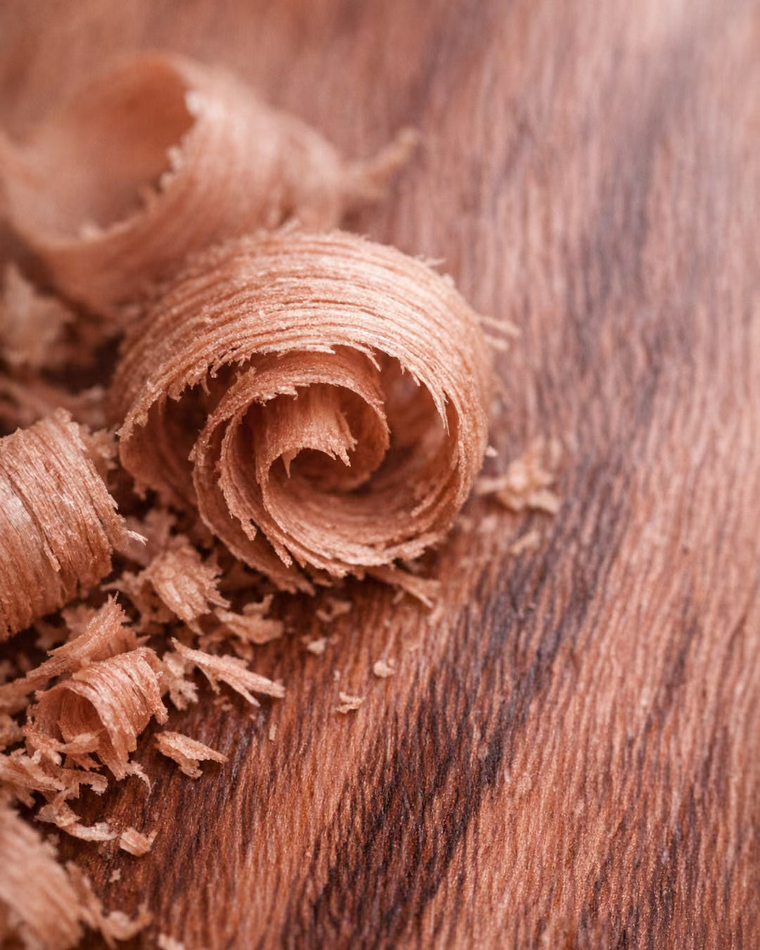 Pau Rosa, ingrediente do perfume Wabi da Sorry Not Sorry